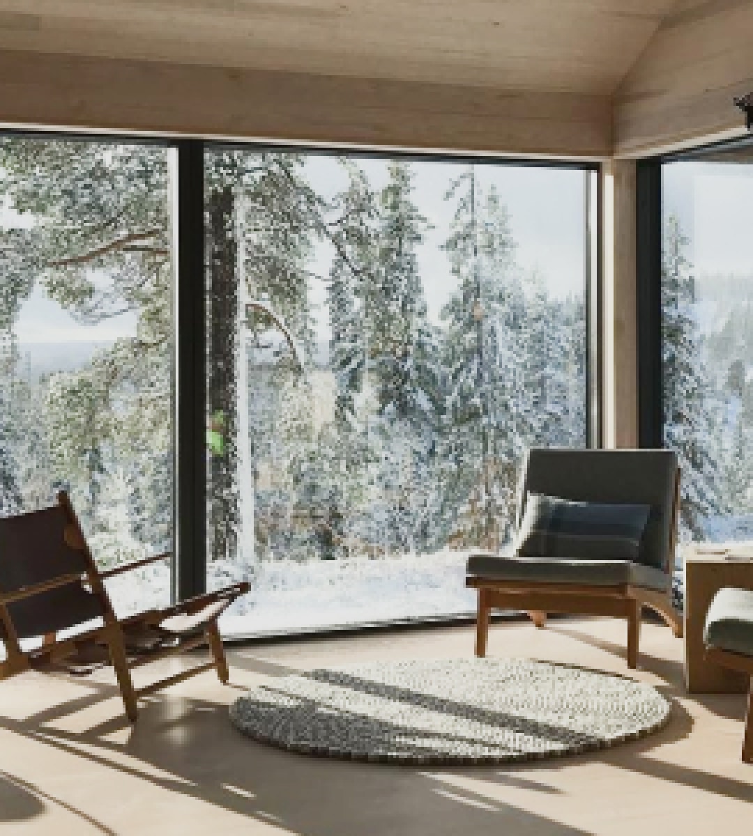 Вид с окна на зимний лес